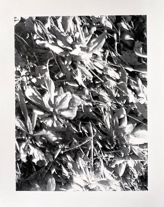 again and again until it leads somewhere - unmounted