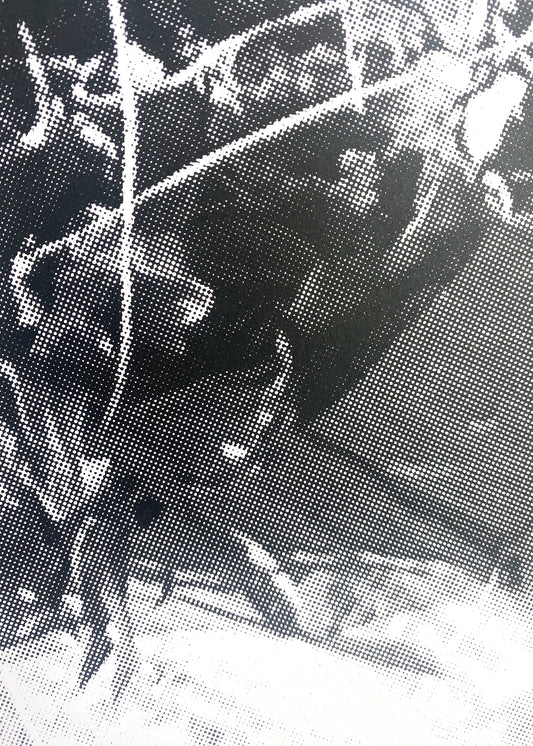 embodying intersections