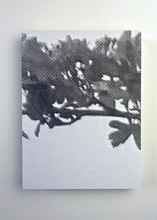 naturally occurring glitches