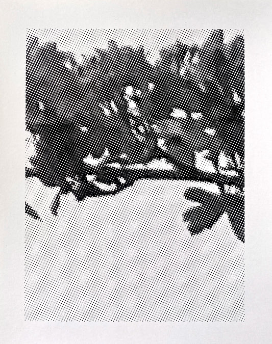 naturally occurring glitches - unmounted