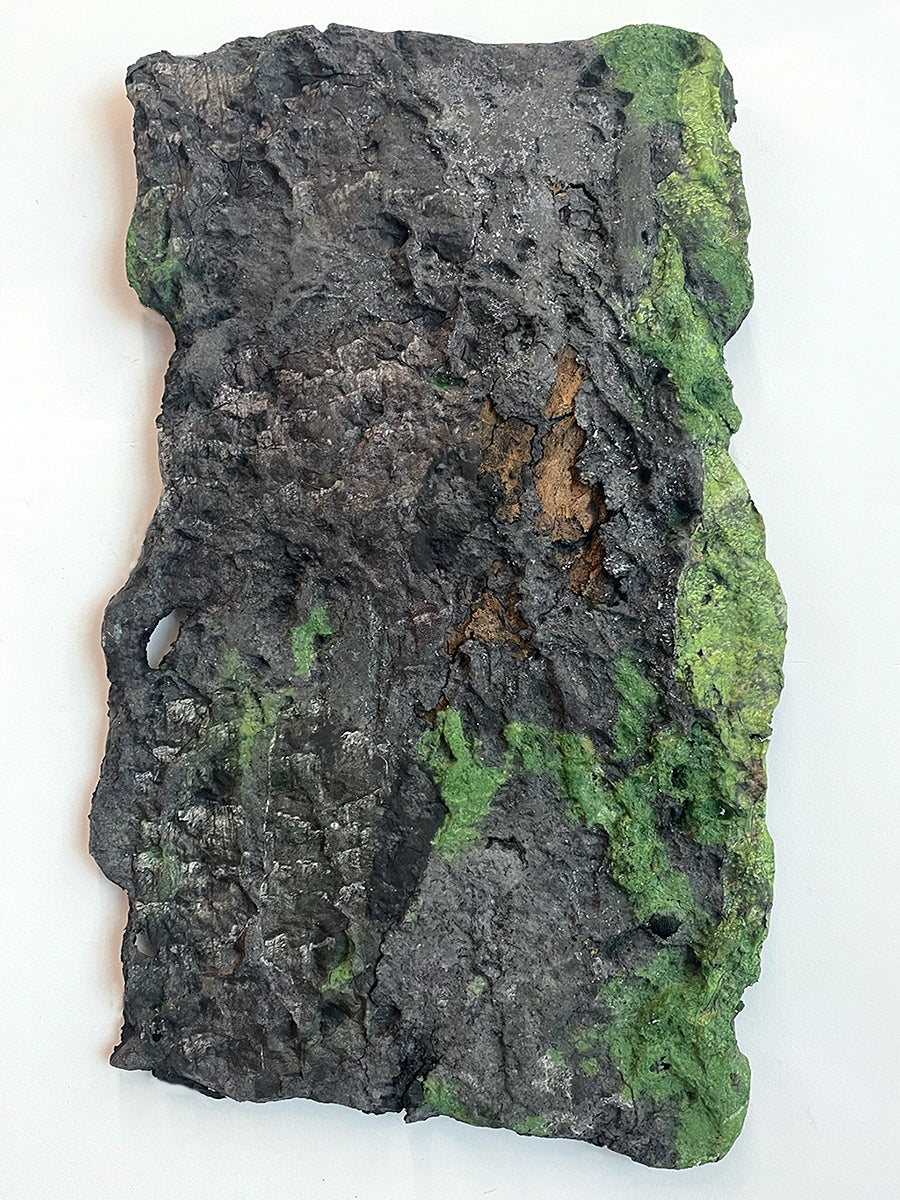 Cedar #1