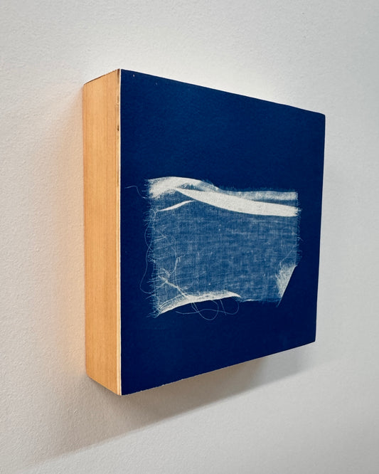 Caught in Stillness 1