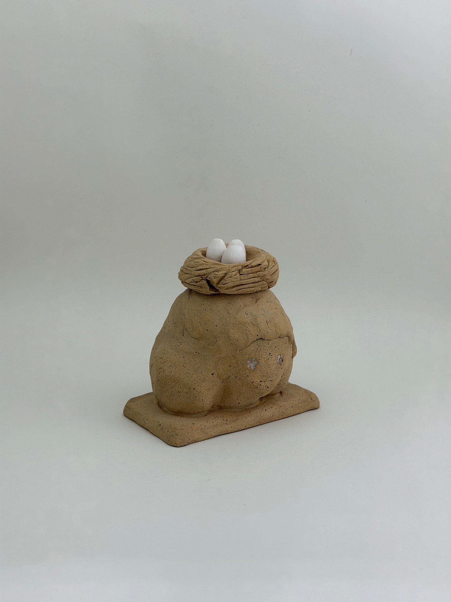 nest