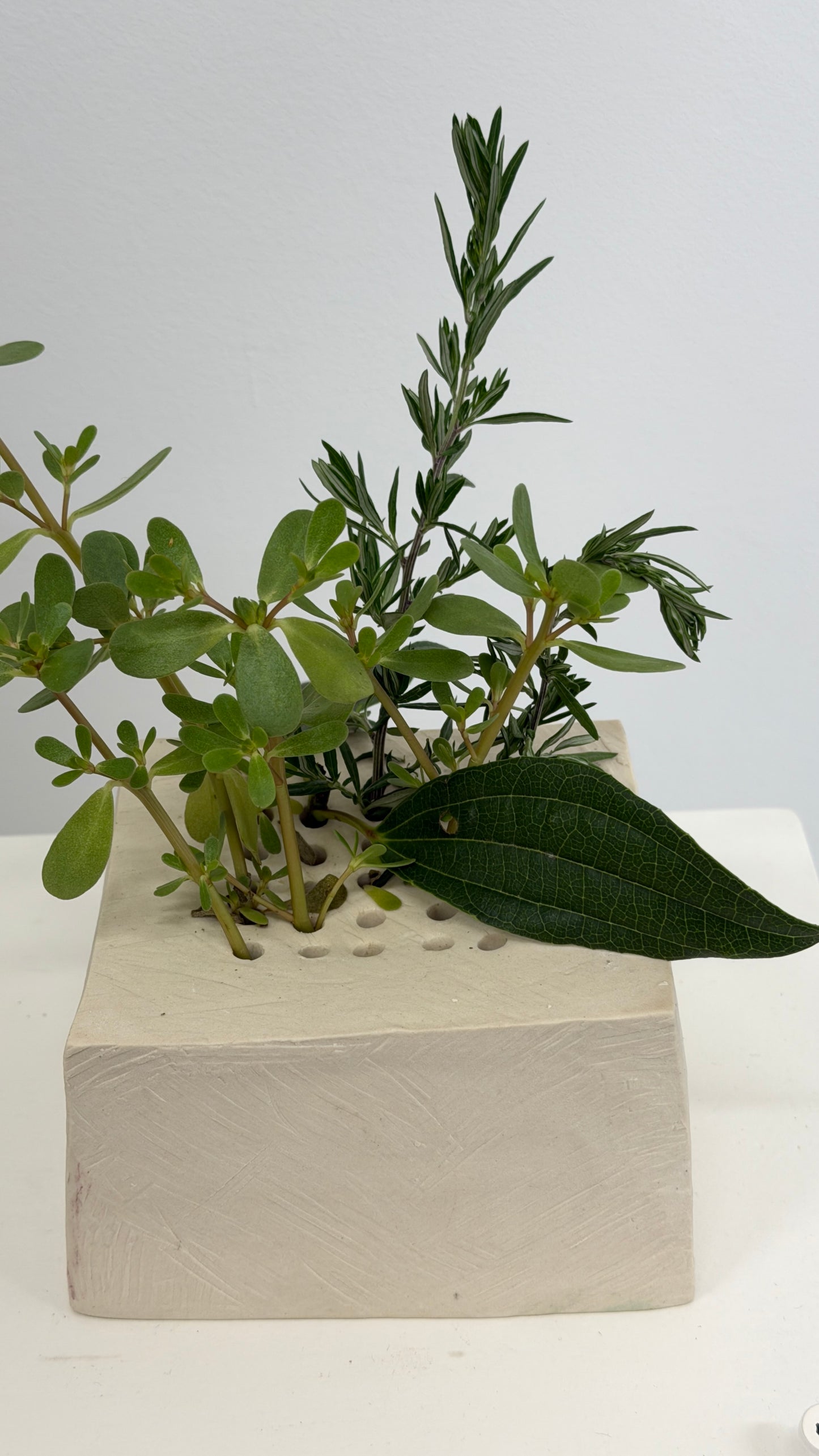 Flower Frog Vase (Tofu)