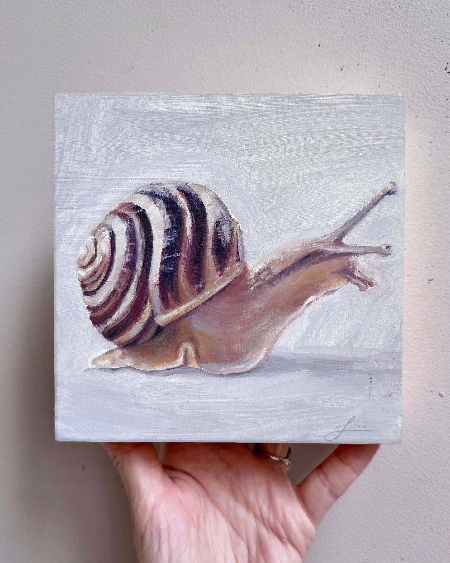 Snail