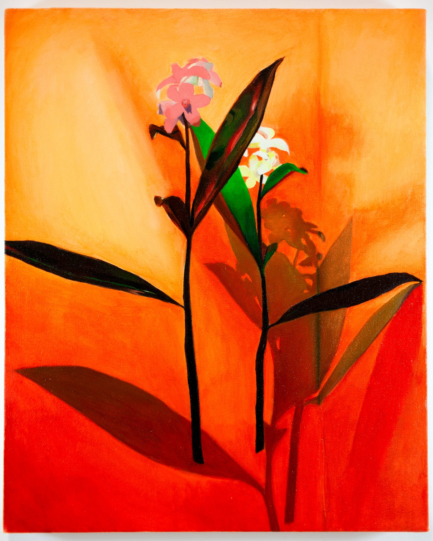 Orange Blossoms (Two of Wands)