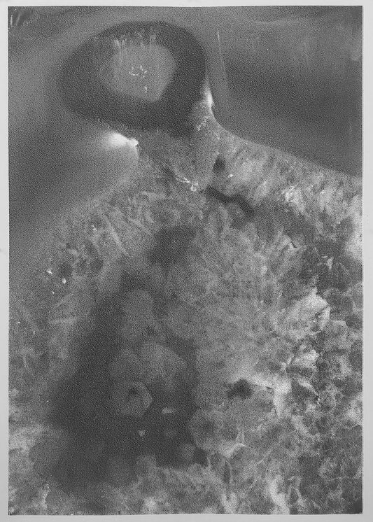 a sensory experience