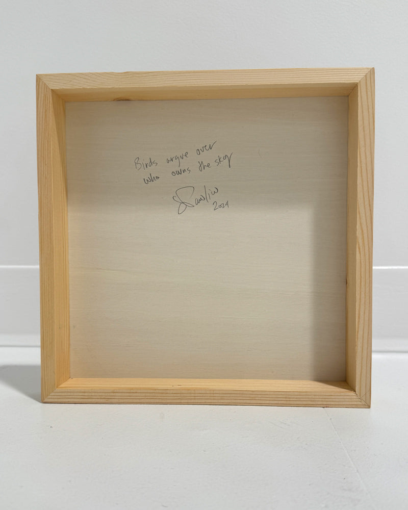 birds argue over who owns the sky