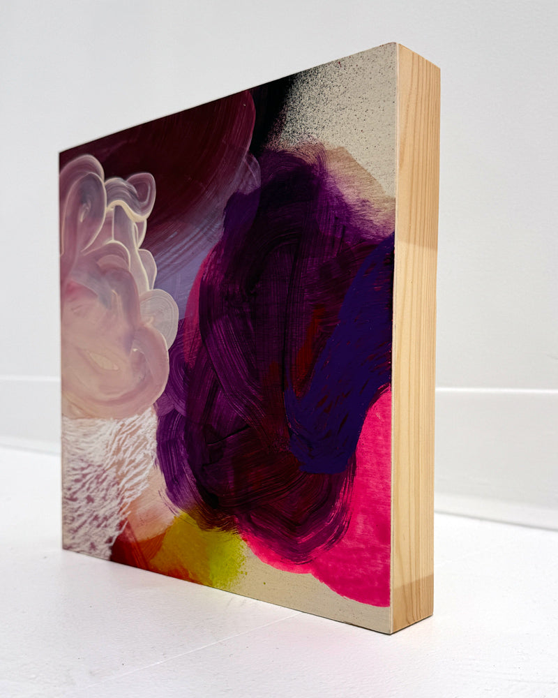 birds argue over who owns the sky