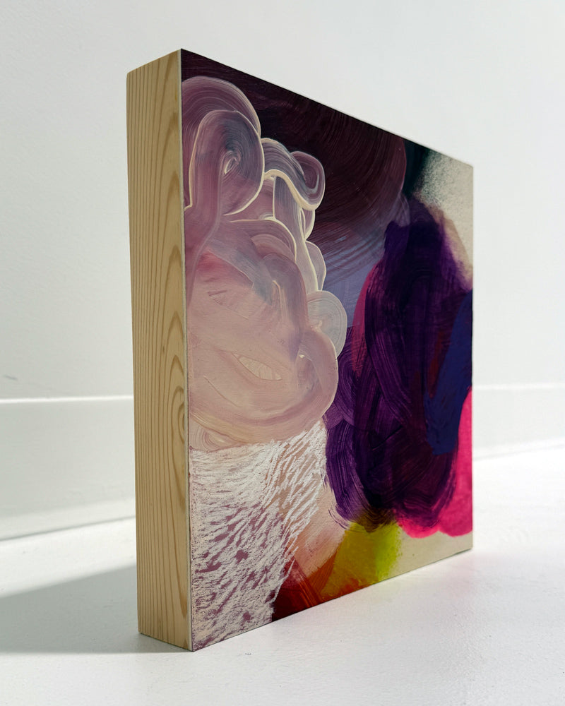 birds argue over who owns the sky