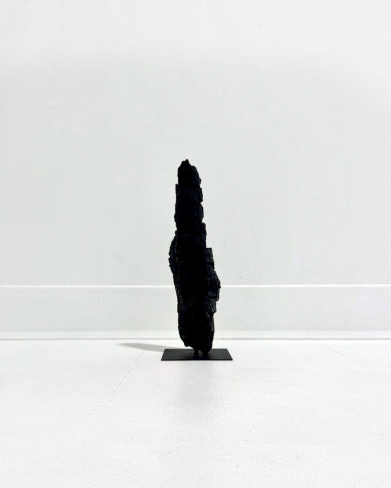 Bodily