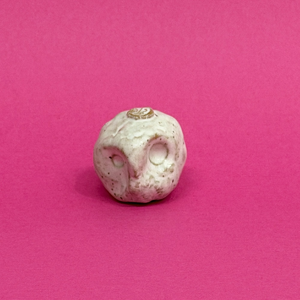 Owl-carina