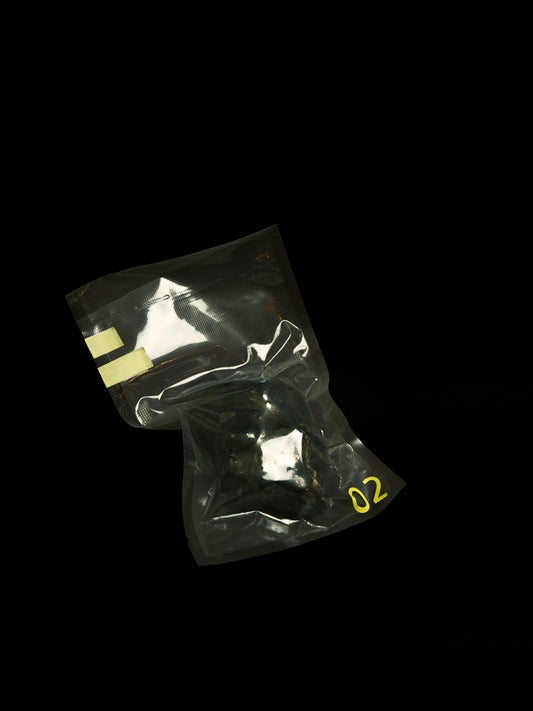 Specimen 02 - Pressure Cell