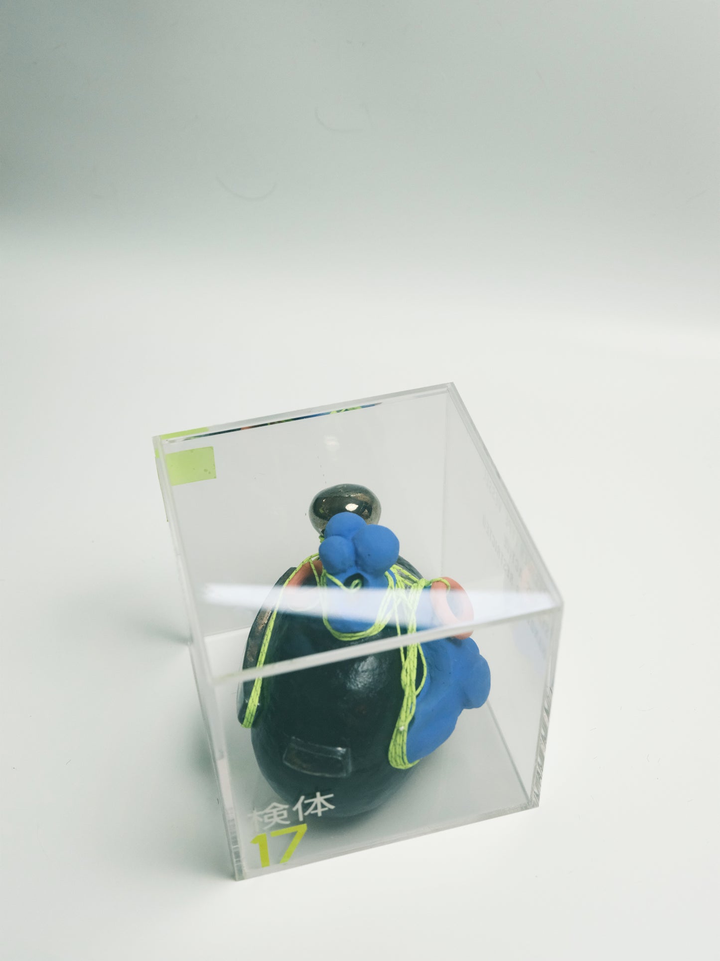 Specimen 17 - Bio-Cluster Vessel