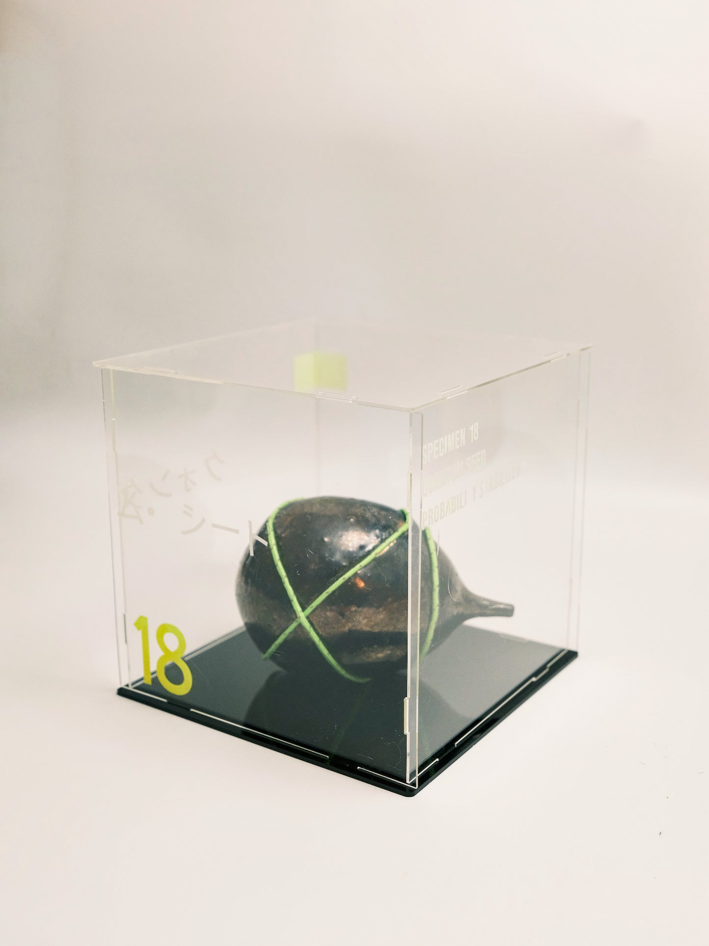 Specimen 18 - Quantum Seed