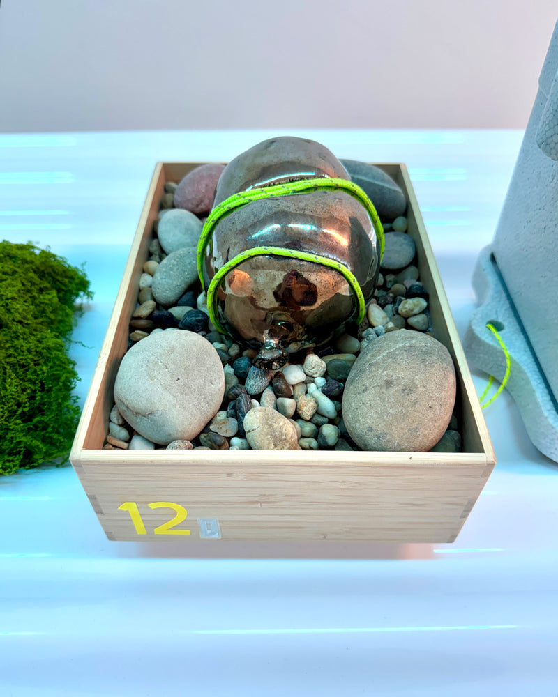 Specimen 12 - Stabilization Pod