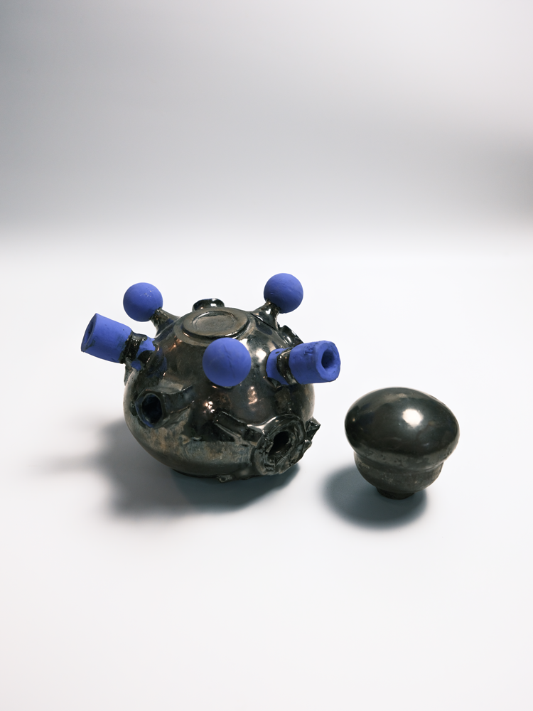 Specimen 14 - Distribution Chamber