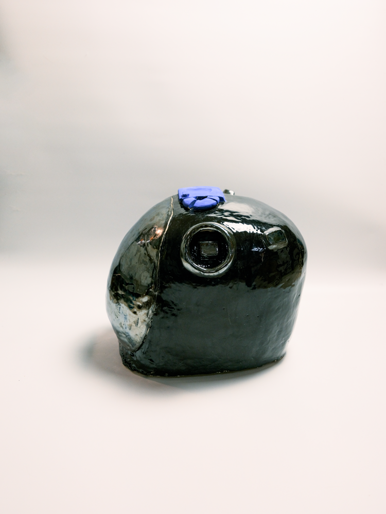 Specimen 19 - Fragment of a Forgotten Memory