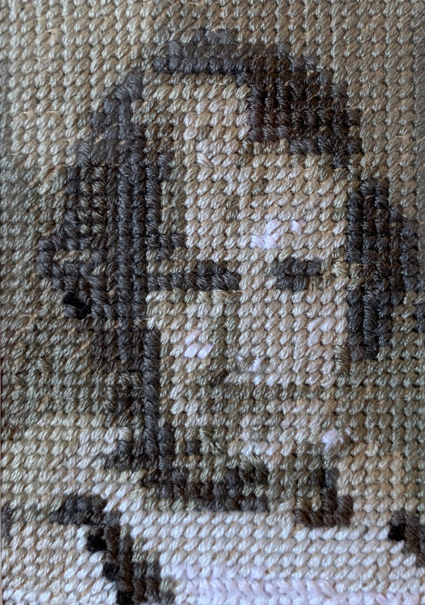 Forgotten Classmates - 2