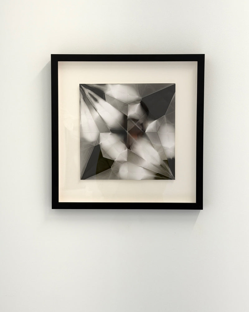 Crane v1 - framed