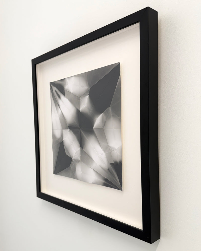 Crane v1 - framed