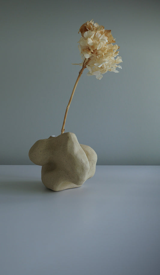 Vessel V