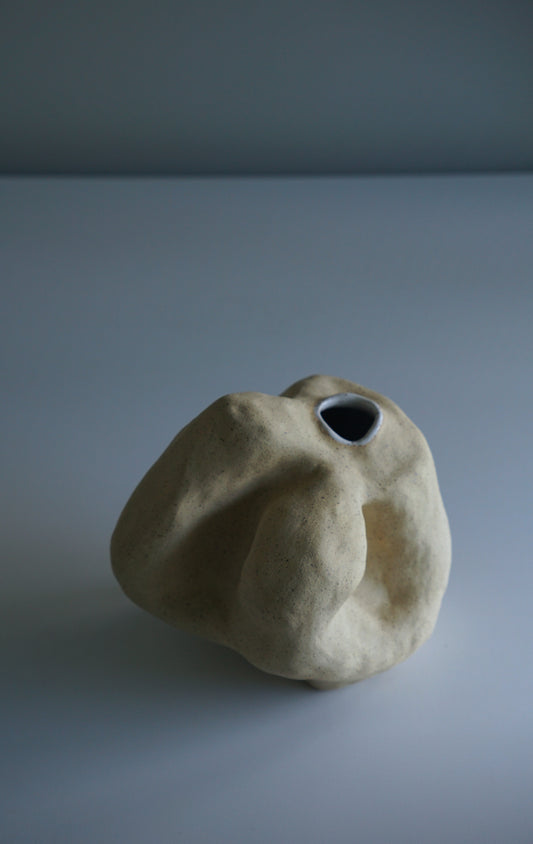 Vessel V