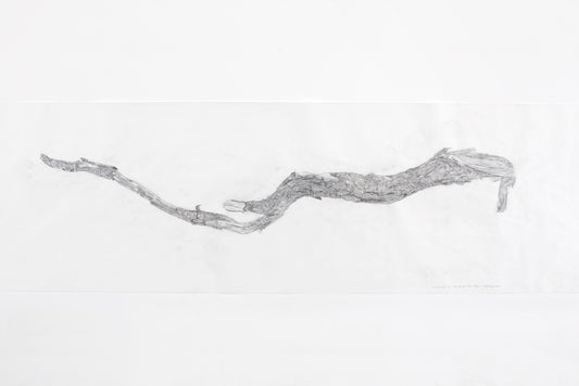 You Can Go Your Own Way