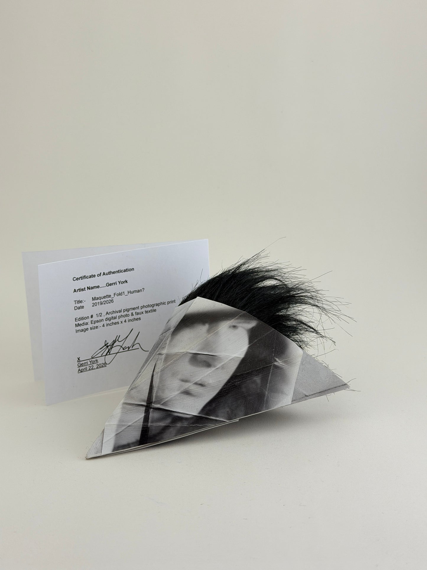 Maquette_Fold1_Human?