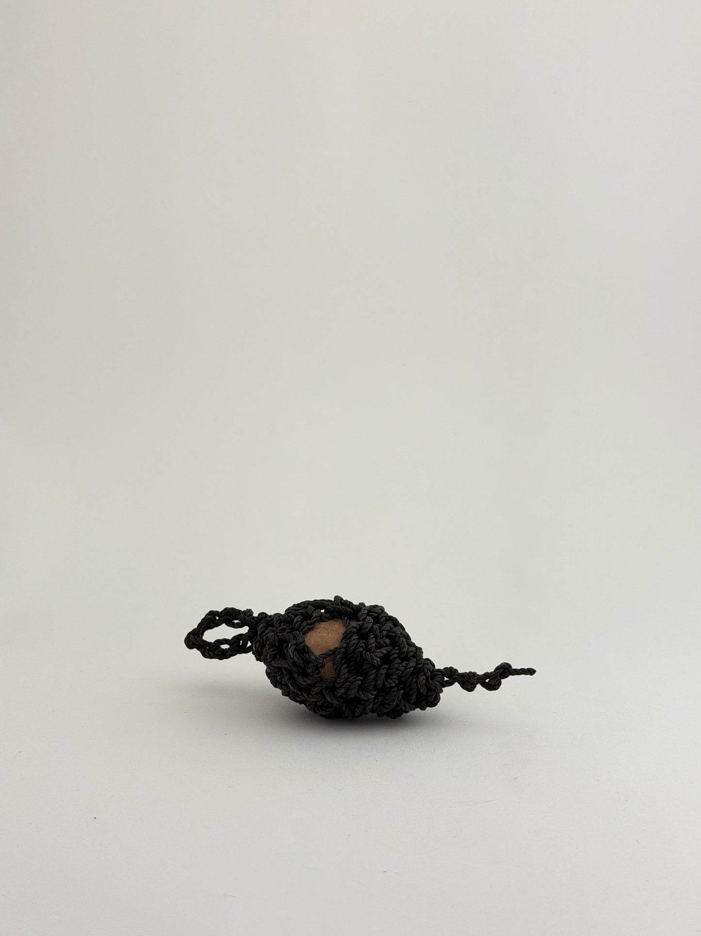 Nest