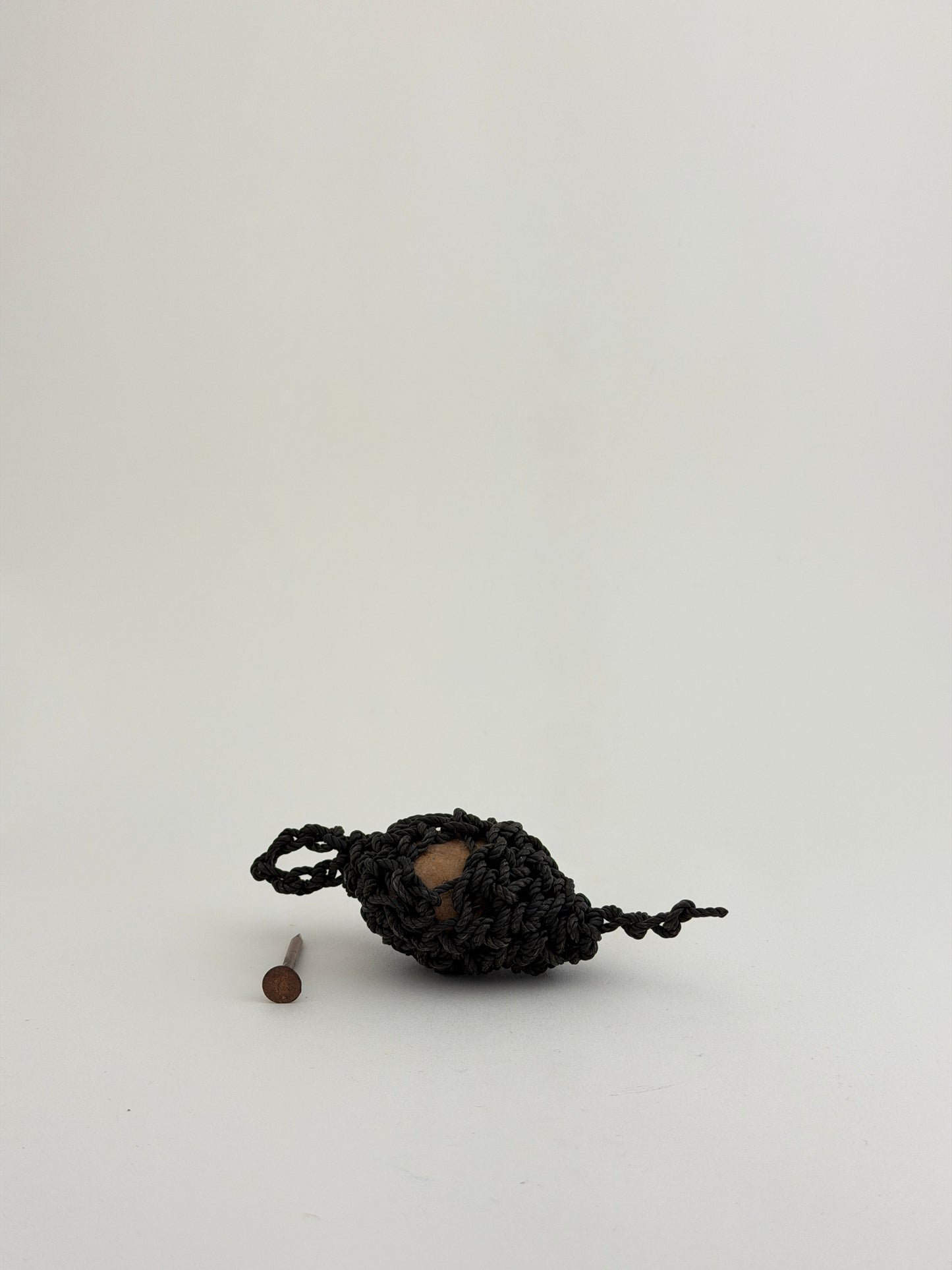 Nest