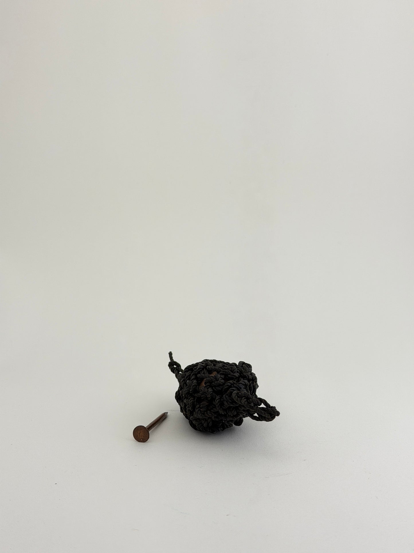 Nest