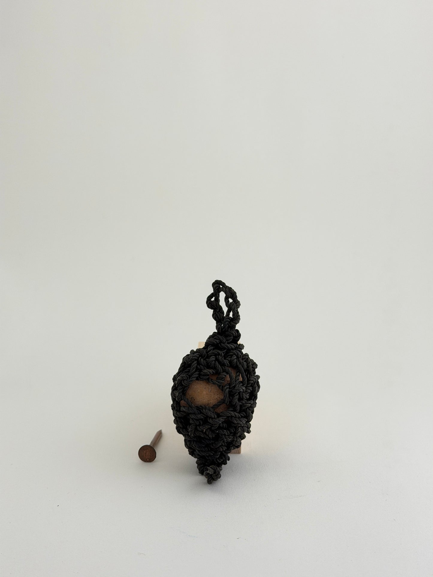 Nest