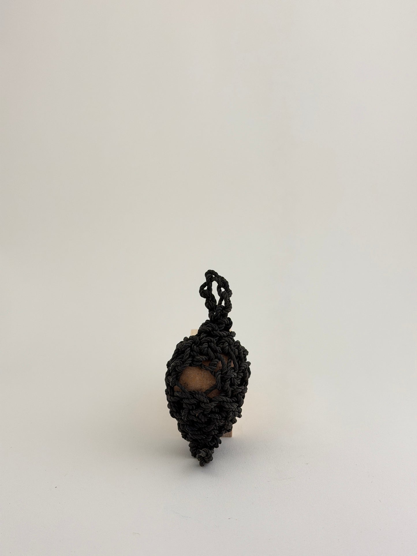 Nest