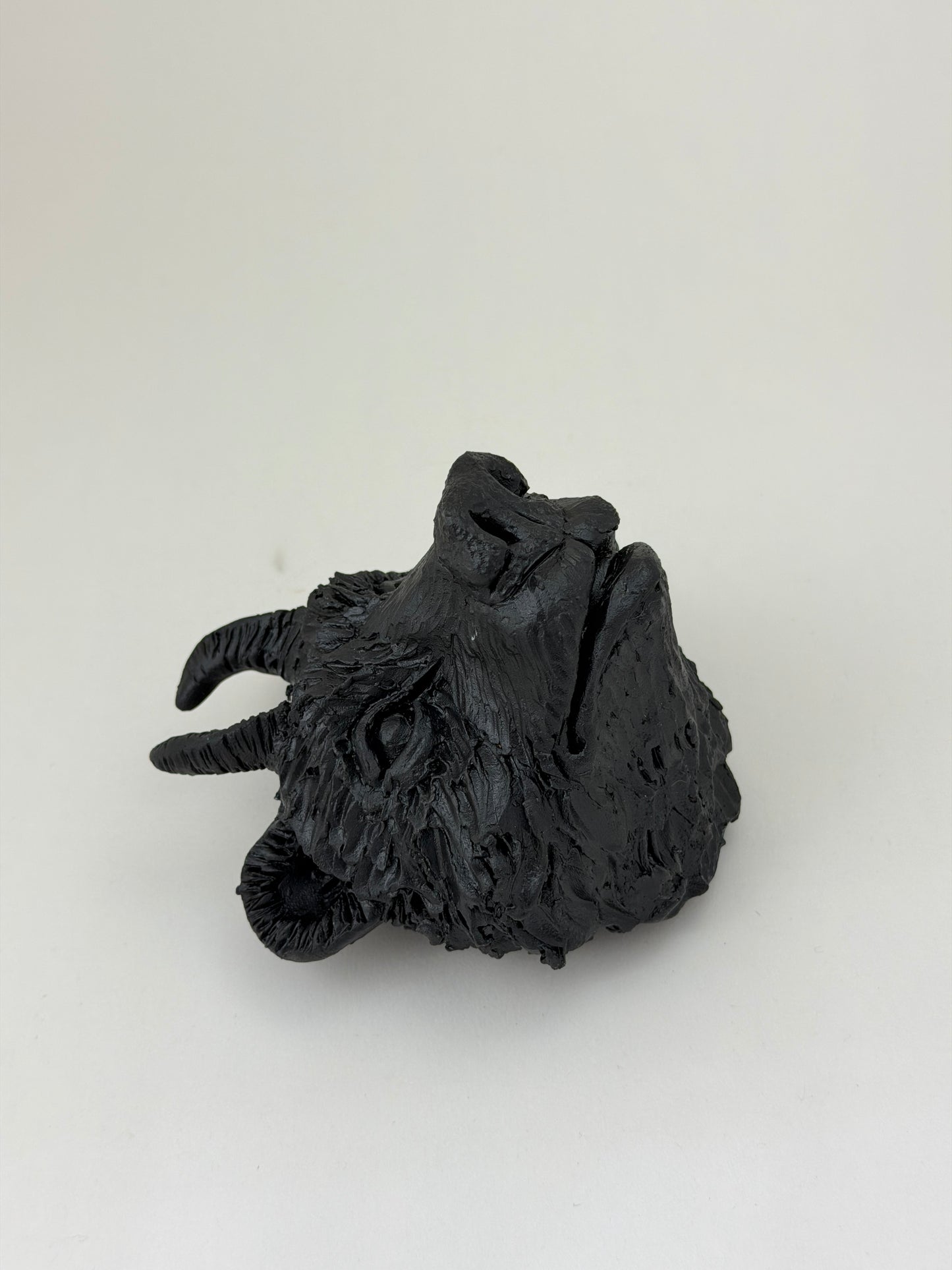 Black Bear
