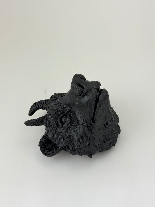 Black Bear