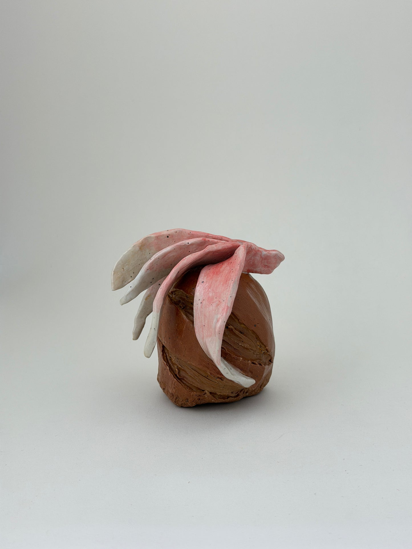 Magnolia Flower and Baguette