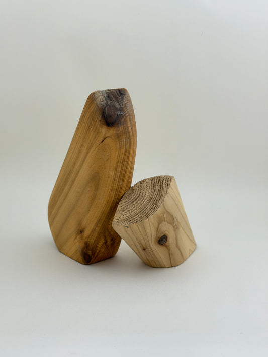 Forms for my child #1