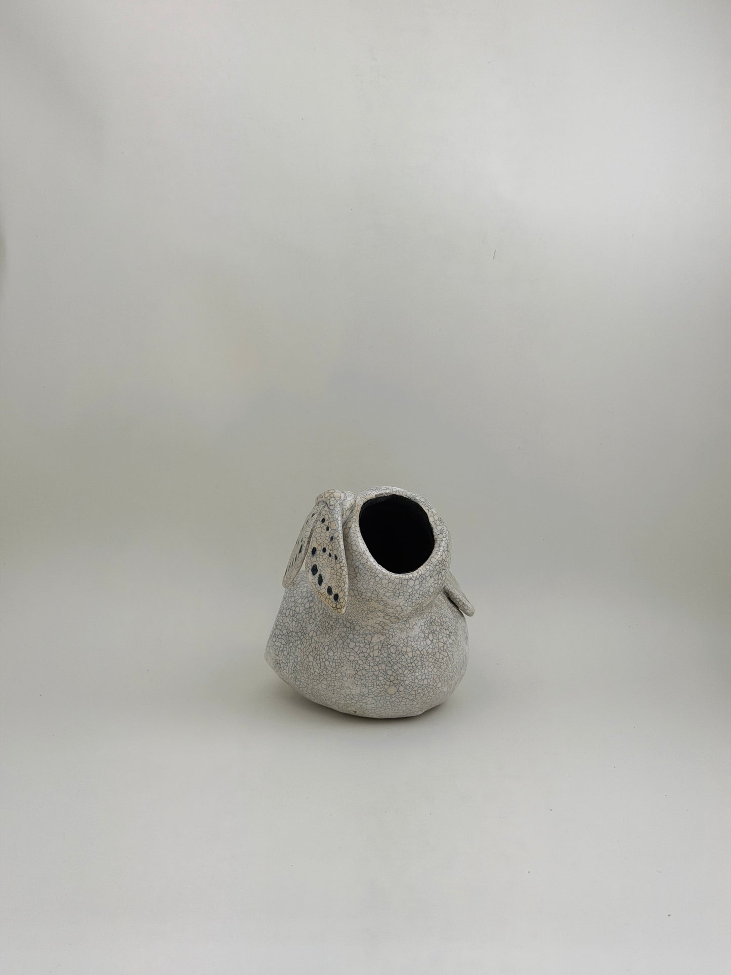 Untitled 1