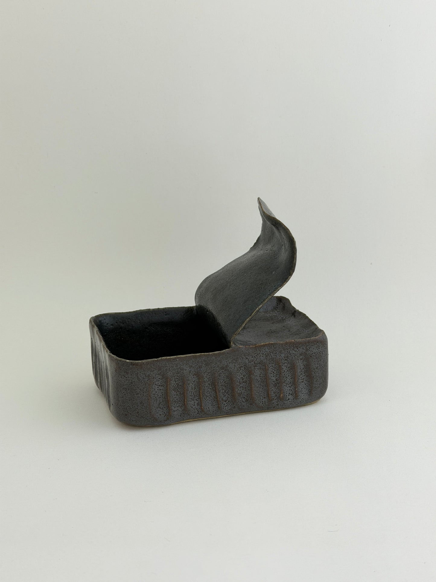 Sardine Tin