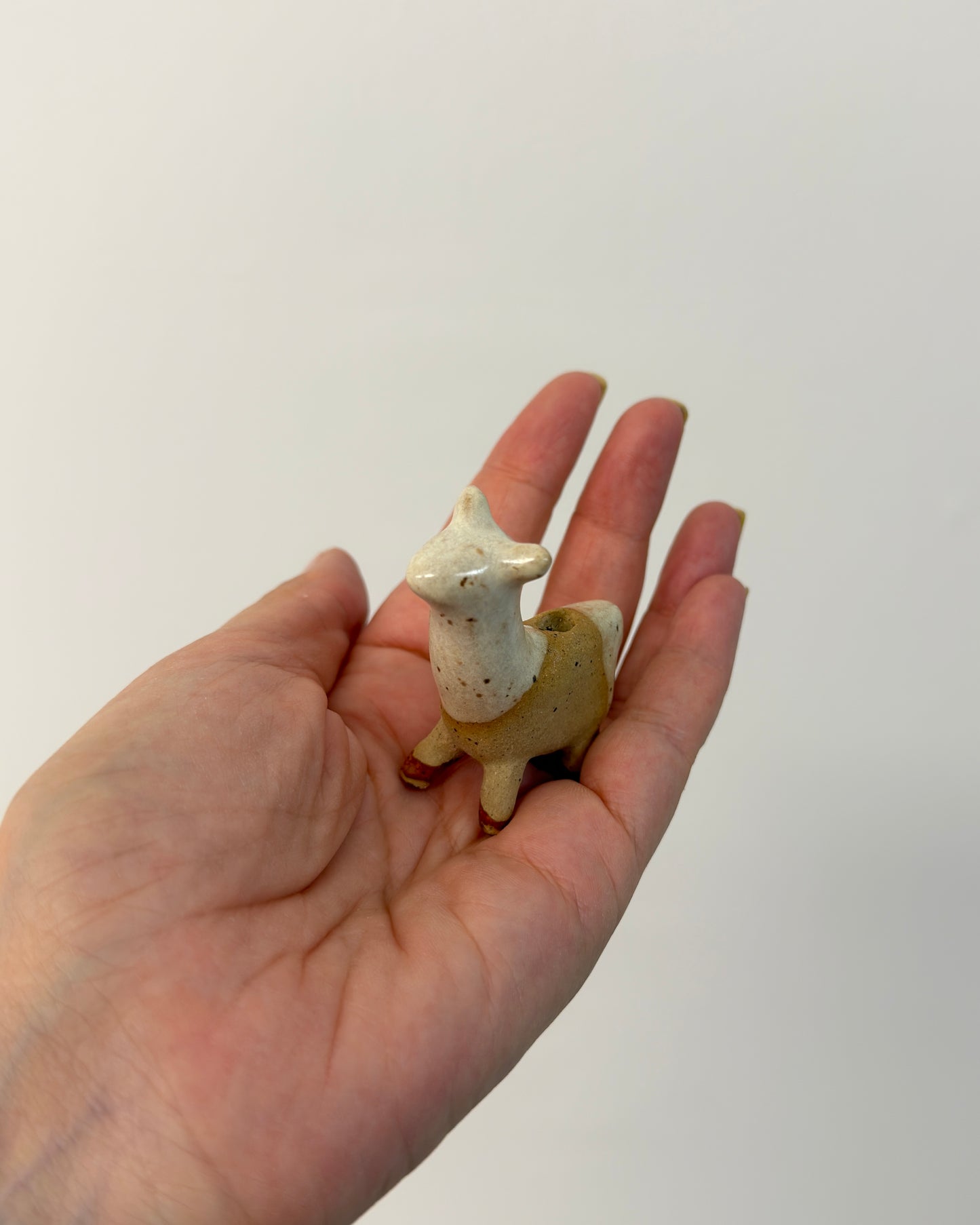 Alpacarina