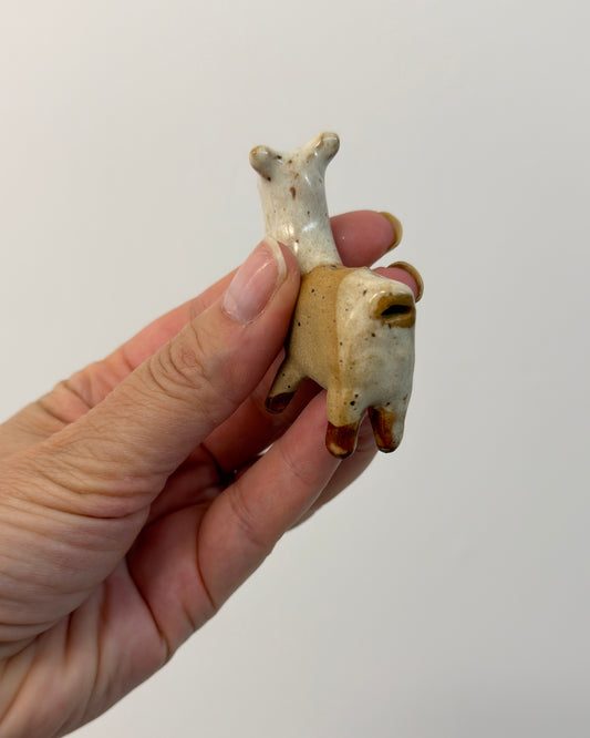 Alpacarina