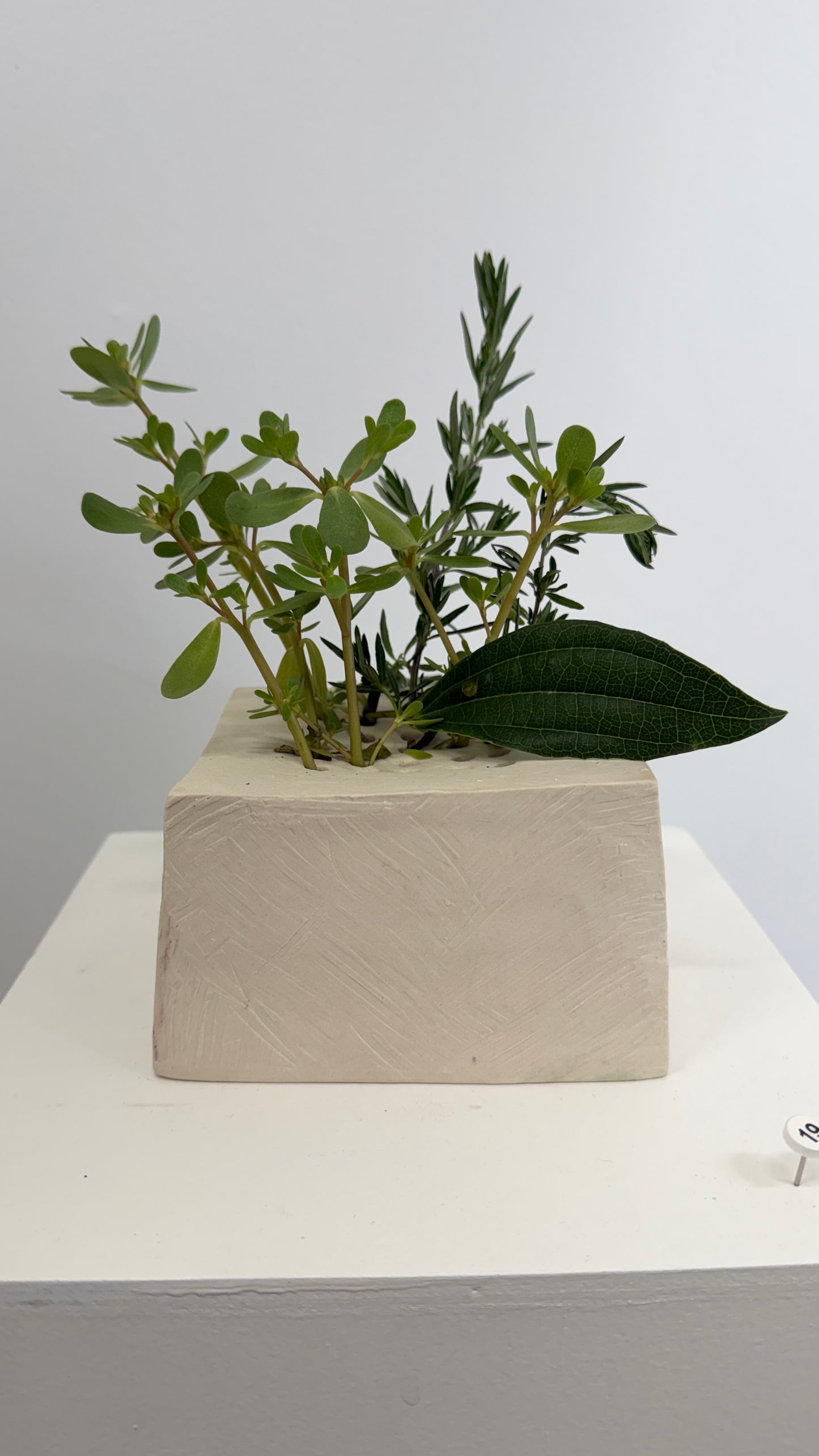 Flower Frog Vase (Tofu)