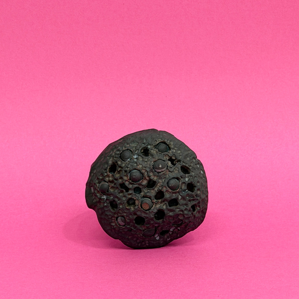Lotus Ocarina