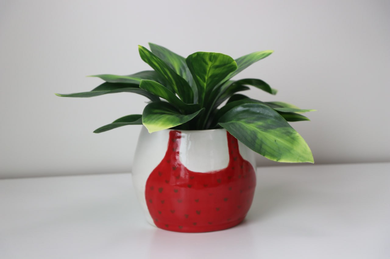 Miss Heart Top pot