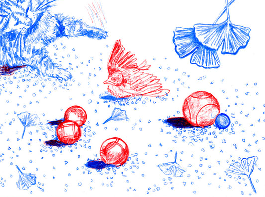 Petanque/Platonk/Platonic?