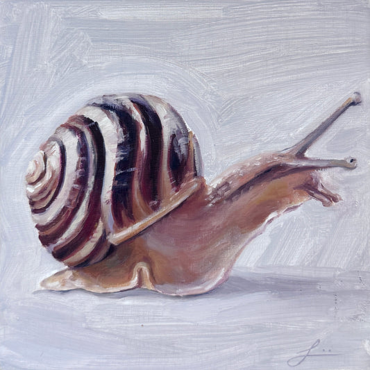 Snail