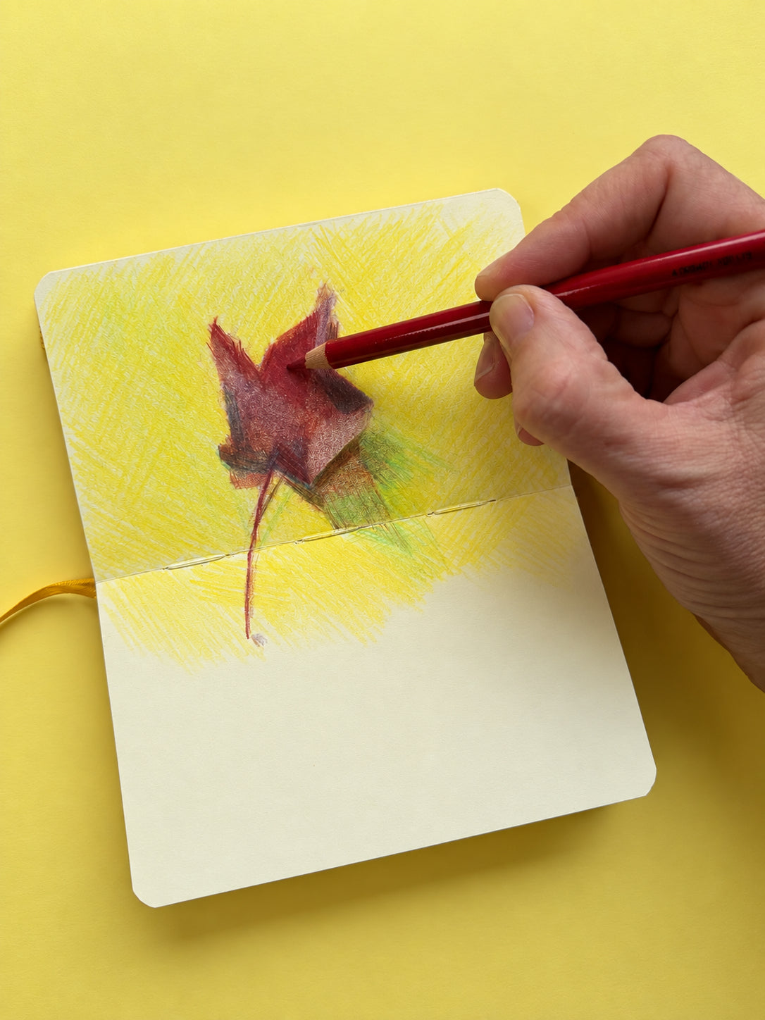 Workshop - Build a Colourful Drawing Practice - Fiona Rough (Nov. 1)