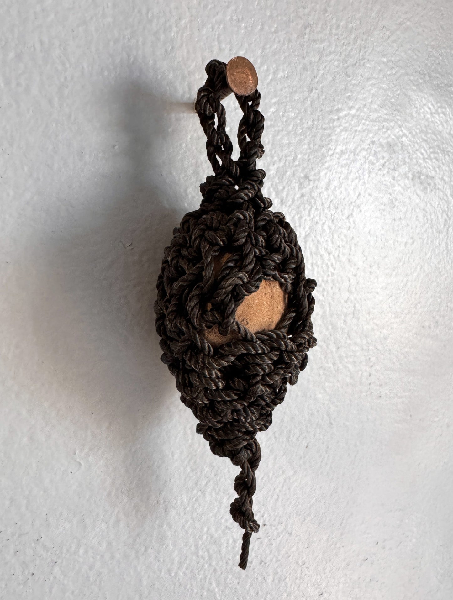 Nest