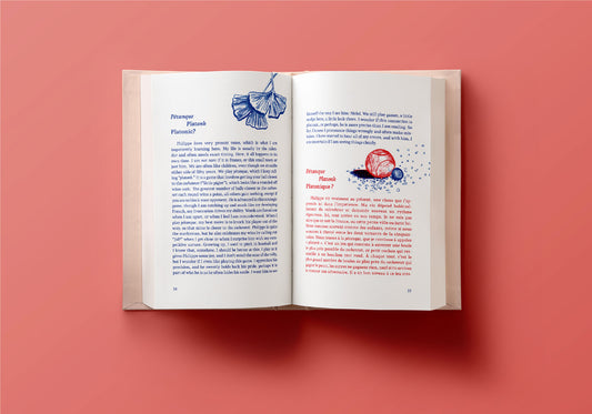 French Ending - Book